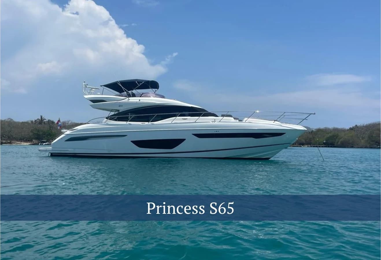 Princess S 65 — foto 9