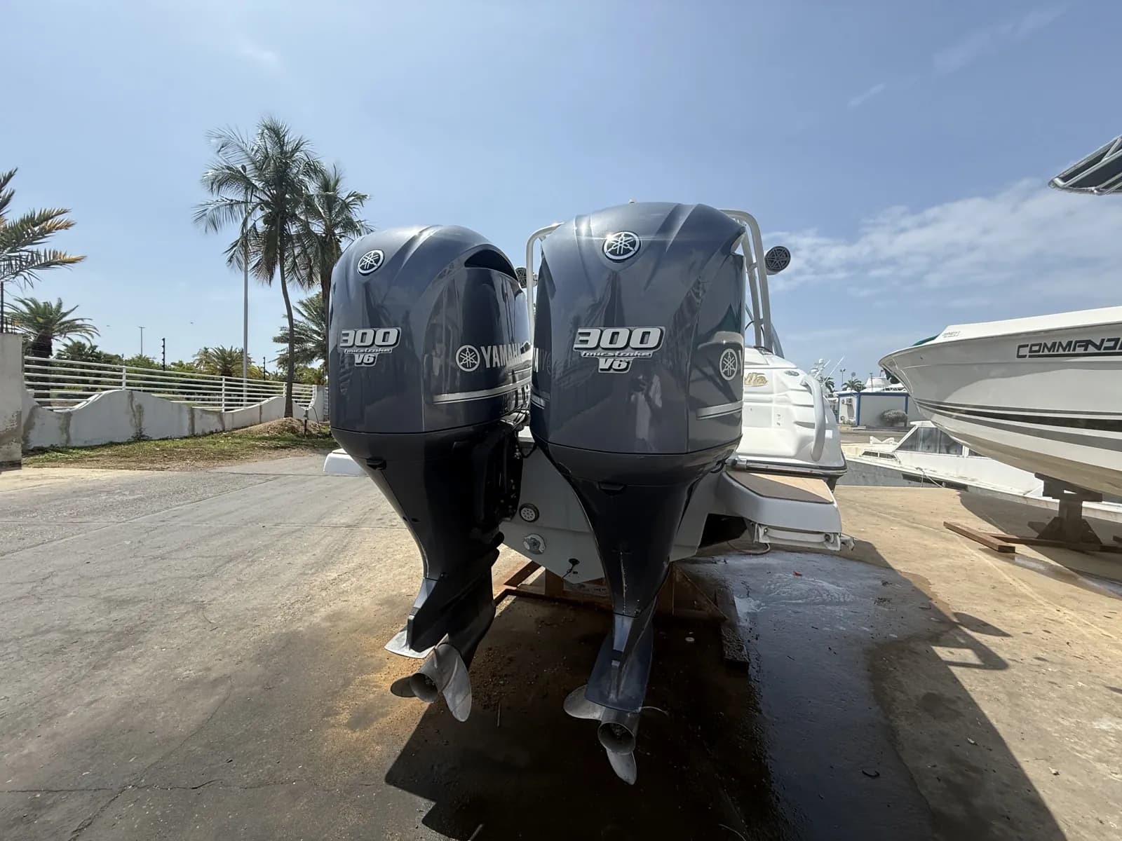 Promarine 1000 SS — photo 2