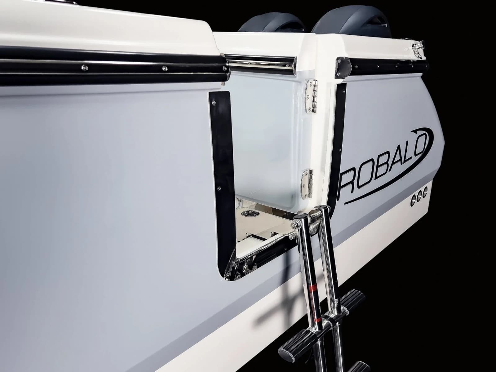 Robalo R250 — foto 13