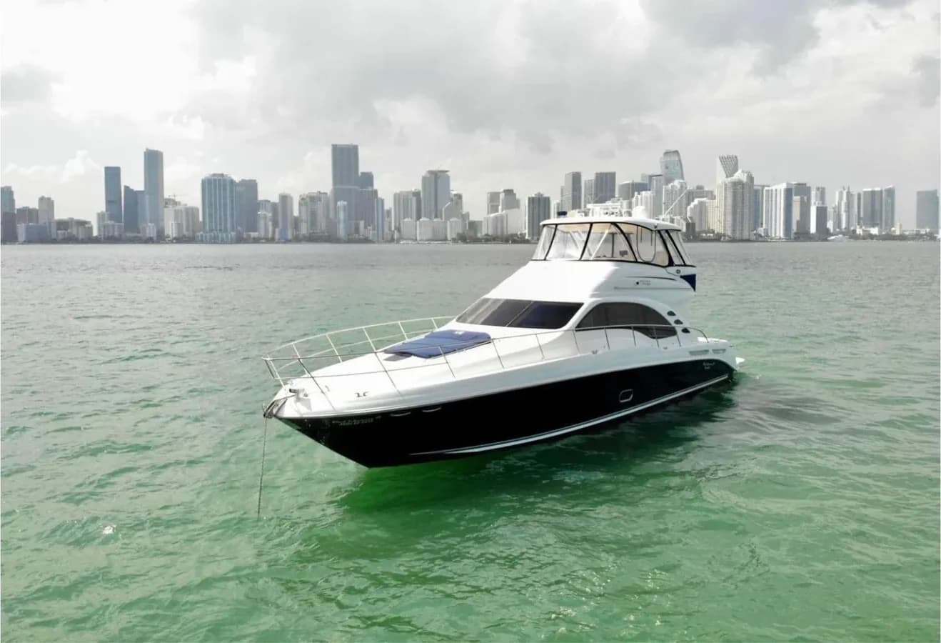 Sea Ray Sedan Bridge — foto 2